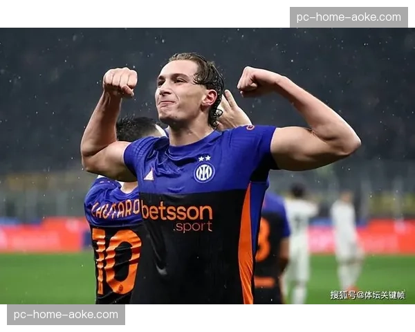 下赛季意甲比赛用球谍照曝光，采用全新感光设计